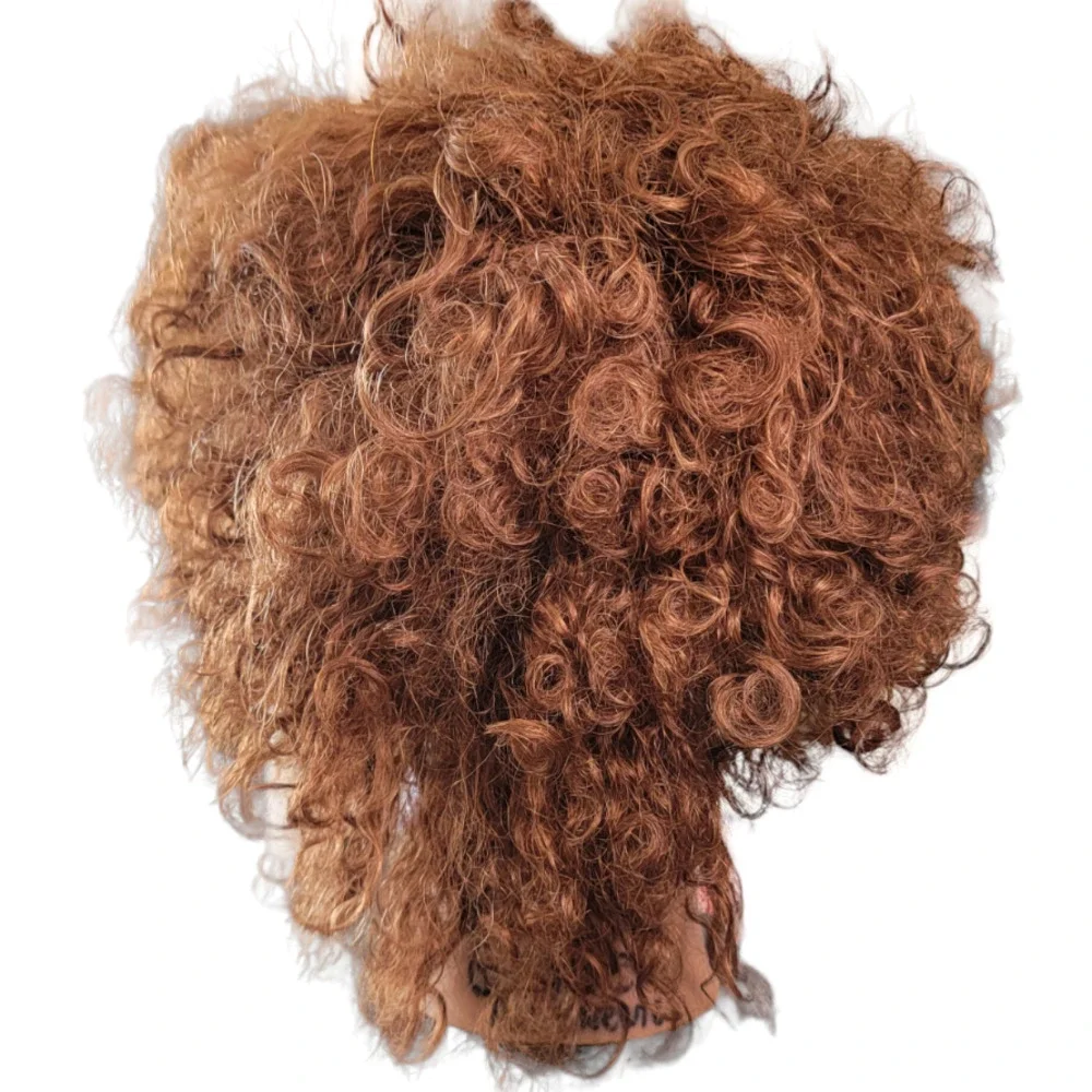 Mannequin Head Hairdressing Cosmetology 100% Human Hair Practice Training Doll - Picture 2 of 5